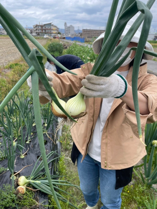 就労継続支援B型事業所 ワークスペースエルデ（生活支援員の求人）の写真3枚目：