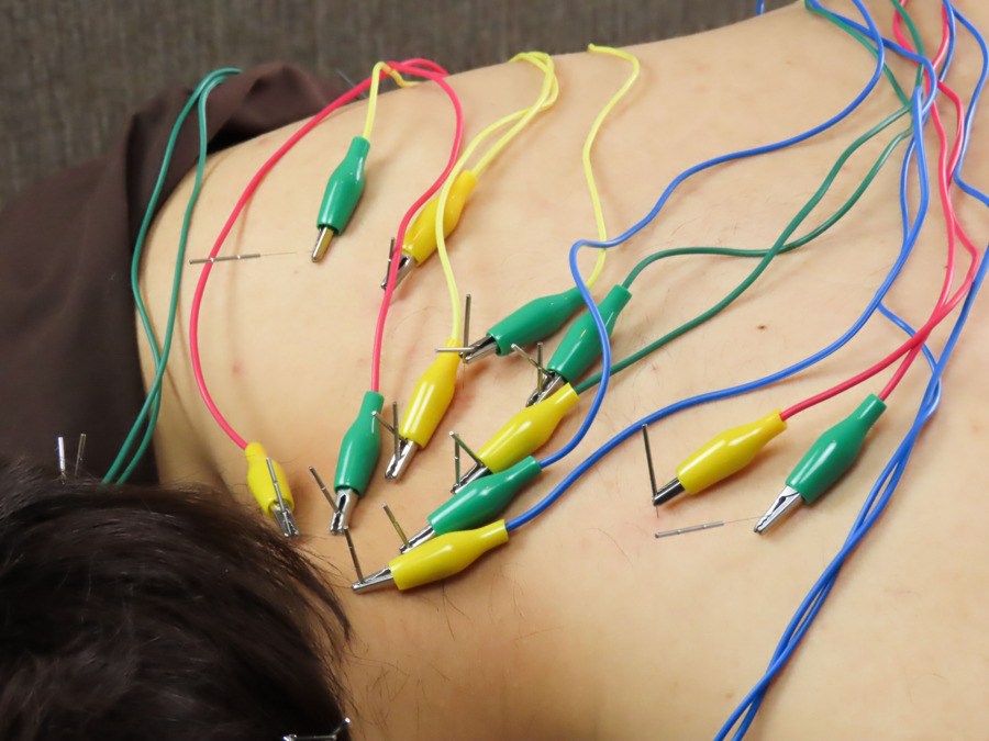 康泰苑鍼灸整体院【2025年09月02日オープン】(鍼灸師の求人)の写真3枚目: