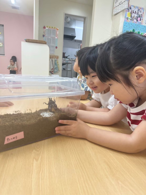アルページュ保育園 中浦和（保育士の求人）の写真7枚目：