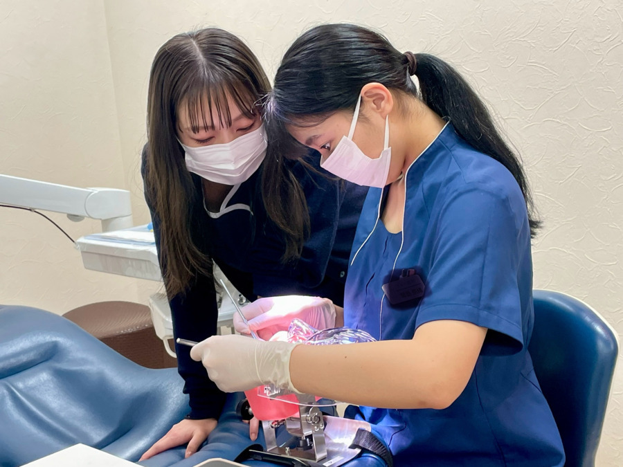 Ken歯科（歯科衛生士の求人）の写真4枚目：やさしい先輩がマネキンを使って丁寧に指導