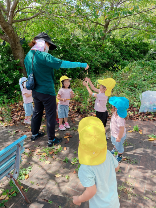tenten石神井公園(保育補助の求人)の写真6枚目: