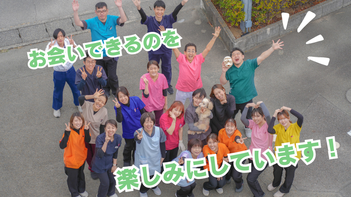 丸山歯科医院（歯科助手の求人）の写真26枚目：