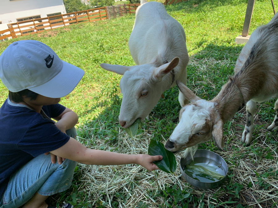 ココトモワークスジュニア犬山今井校(児童指導員/指導員の求人)の写真7枚目:
