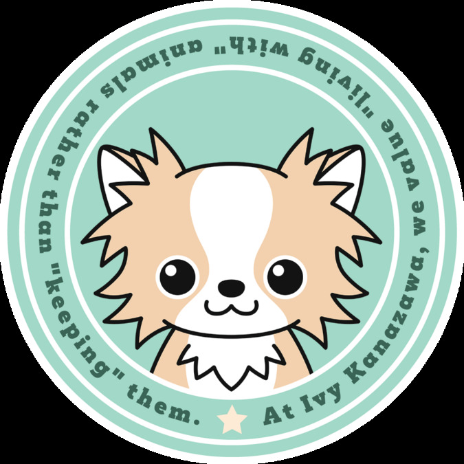 アイビー諸江(生活支援員の求人)の写真6枚目:☆アイビー金沢☆
アイビー諸江OPENします‼