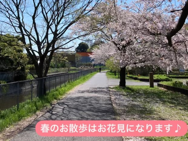 にこにこ保育室(保育士の求人)の写真5枚目: