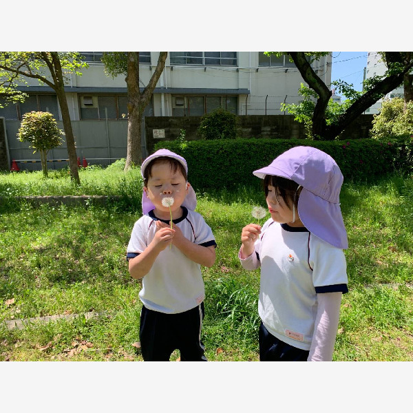 フェアリールーム 上新庄園（保育士の求人）の写真3枚目：