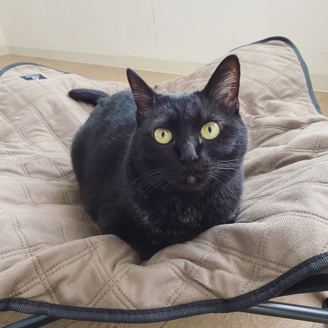 就労支援B型事業所 海猫ぴりかの写真3枚目: