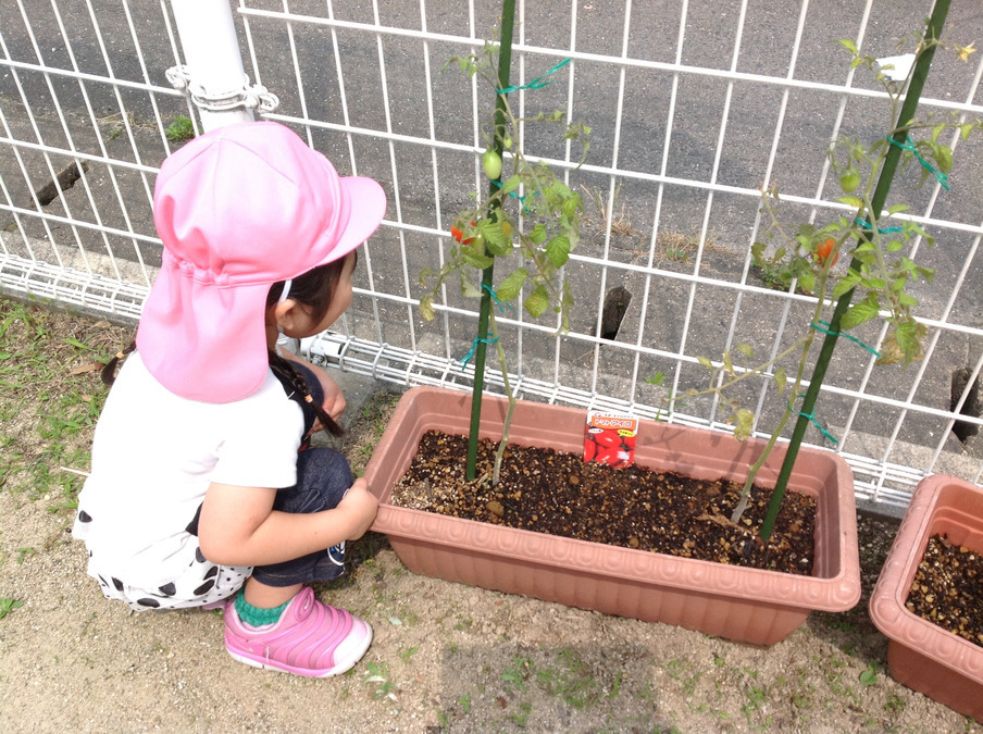 キッズルーム Piccoloの写真