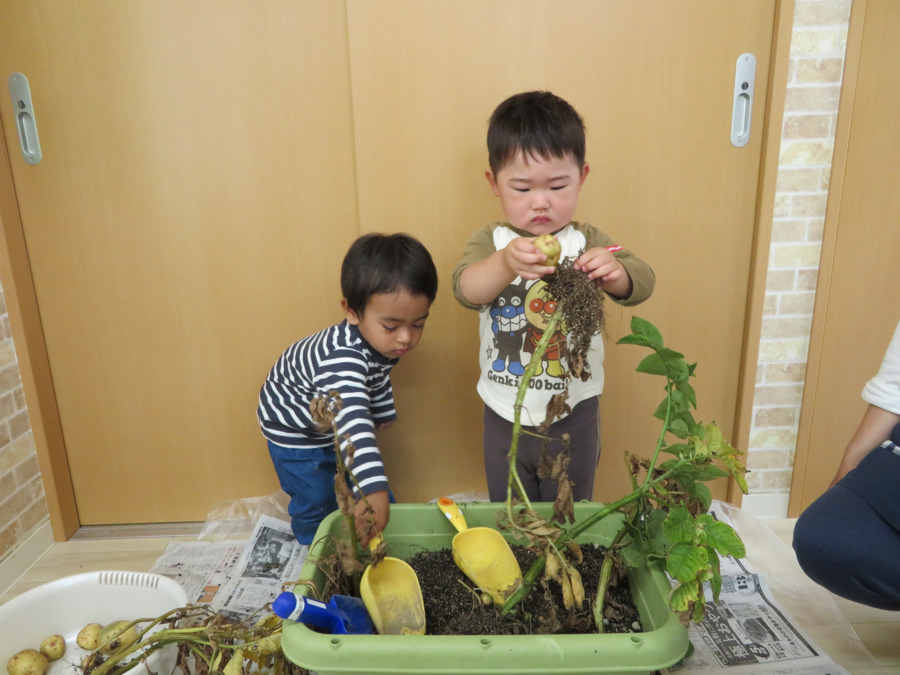 NPO法人おれんじハウス　おれんじハウス星川保育園（看護師/准看護師の求人）の写真6枚目：