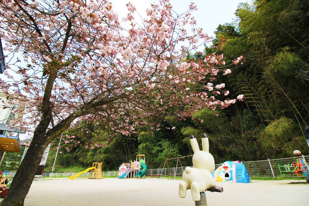 ひがしやまあいじえん（保育士の求人）の写真3枚目：