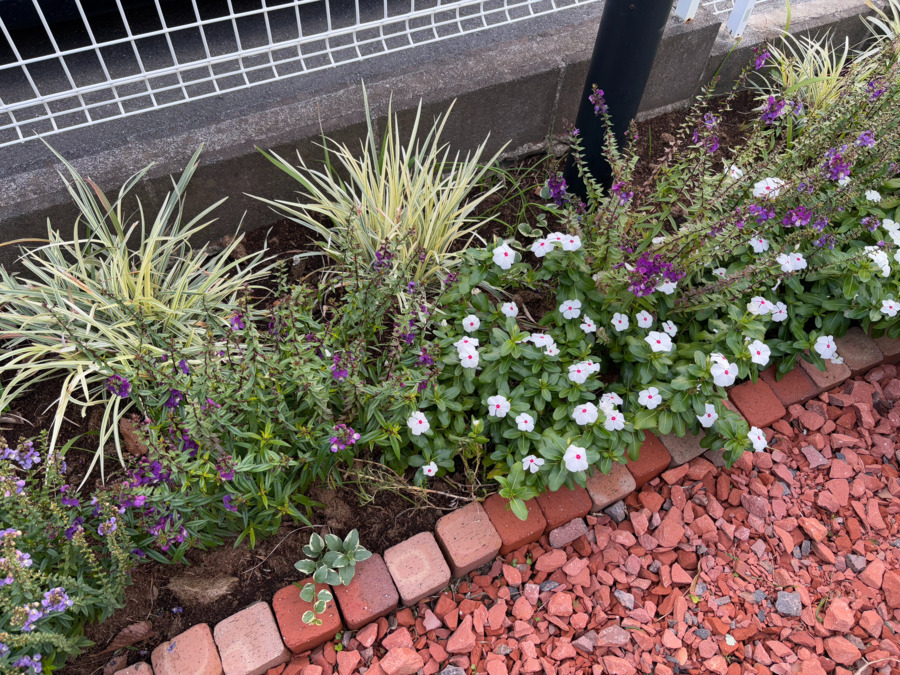 きさらづ皮膚科クリニック（医療事務/受付の求人）の写真4枚目：