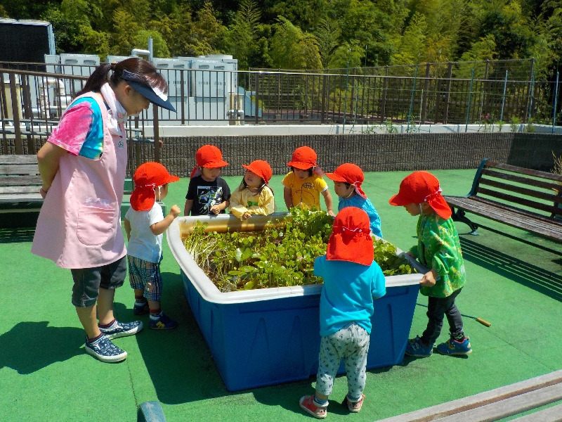企業主導型保育園　まるめろっじの写真3枚目：