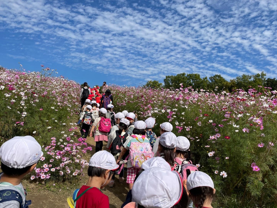 たまい保育所（保育士の求人）の写真5枚目：
