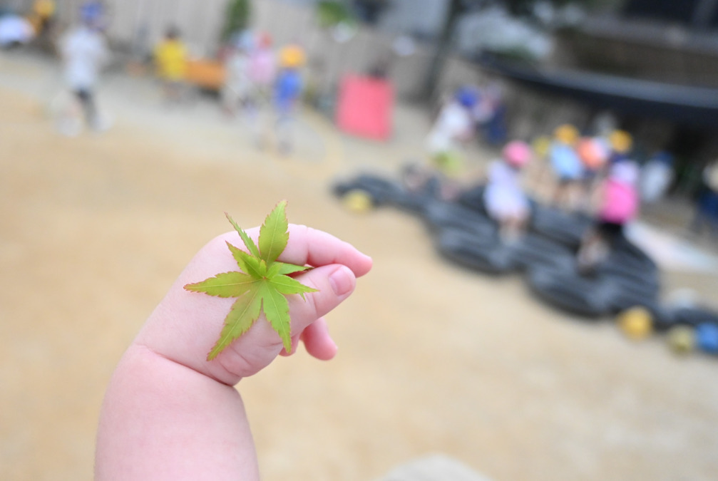 北千住もみじの森保育園(保育士の求人)の写真5枚目: