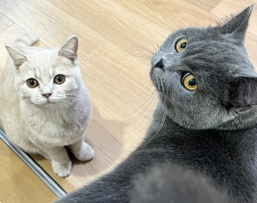 グループホームふぁむ（生活支援員の求人）の写真3枚目：