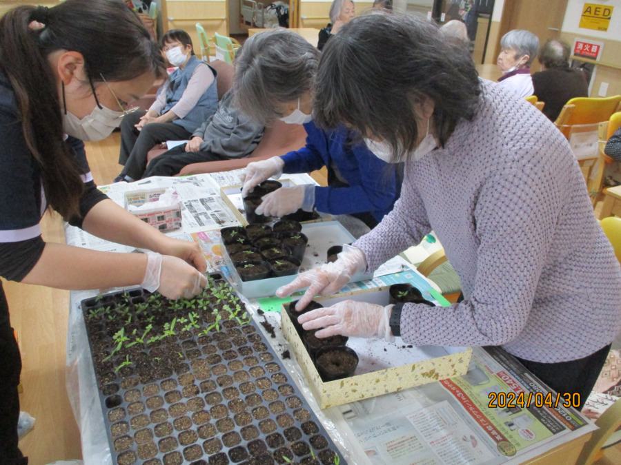 小規模多機能ホーム花園の家(介護職/ヘルパーの求人)の写真5枚目:
