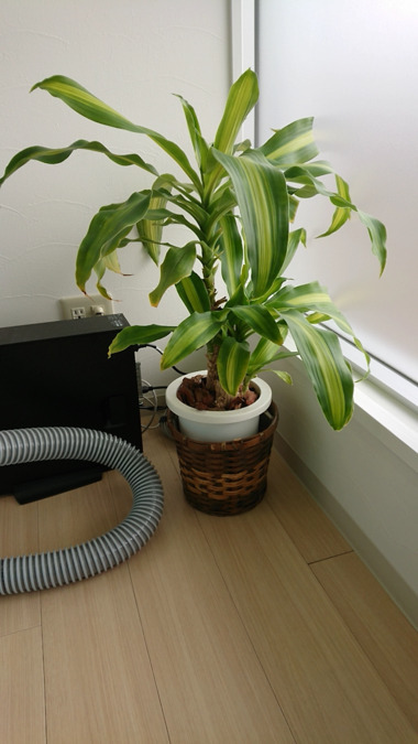 せと歯科クリニックの写真5枚目: