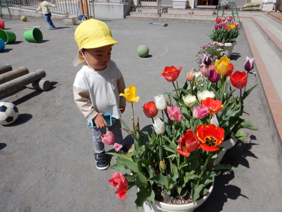滝ヶ谷保育園の写真5枚目：