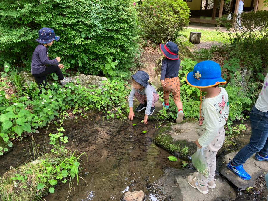 ありんこ保育園（保育補助の求人）の写真2枚目：
