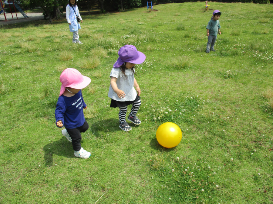 いそべのおうち（保育補助の求人）の写真13枚目：