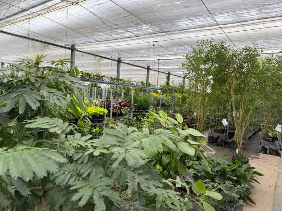 就労継続支援B型事業所アルコ【2026年03月オープン予定】（サービス管理責任者の求人）の写真3枚目：