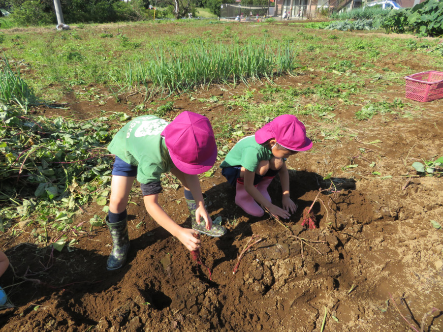 認可保育園キッズフォレ東山田の写真4枚目：
