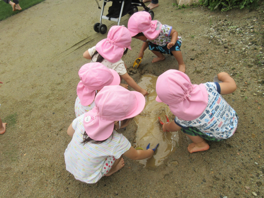 森のぽかぽか保育園の写真4枚目：