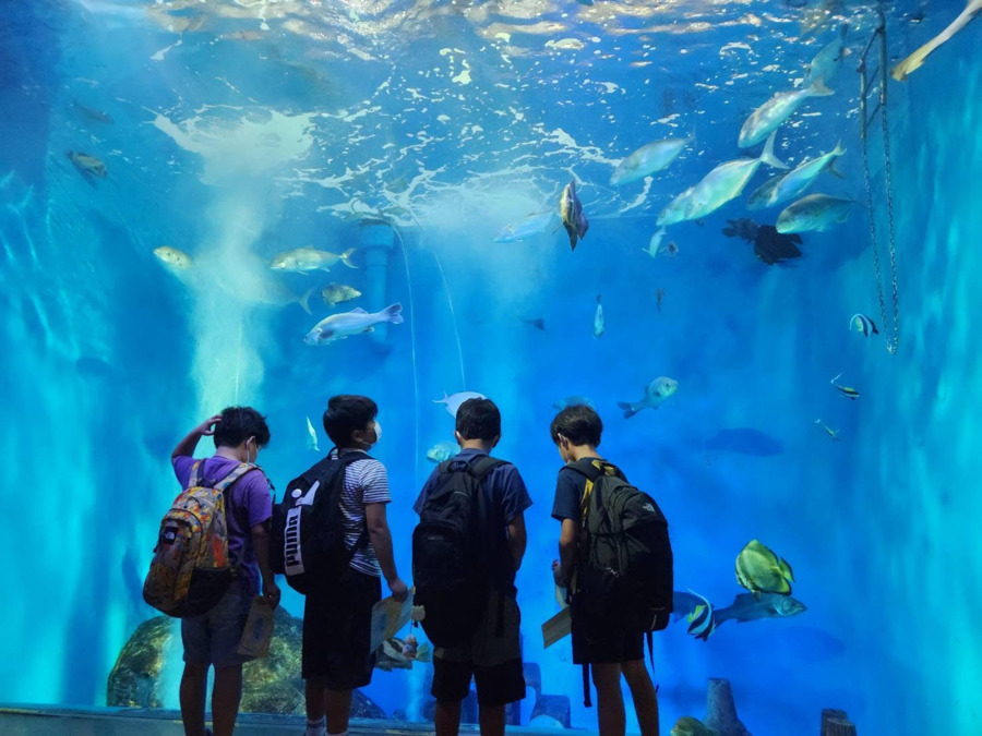 放課後等デイサービスkonoki東新田の写真