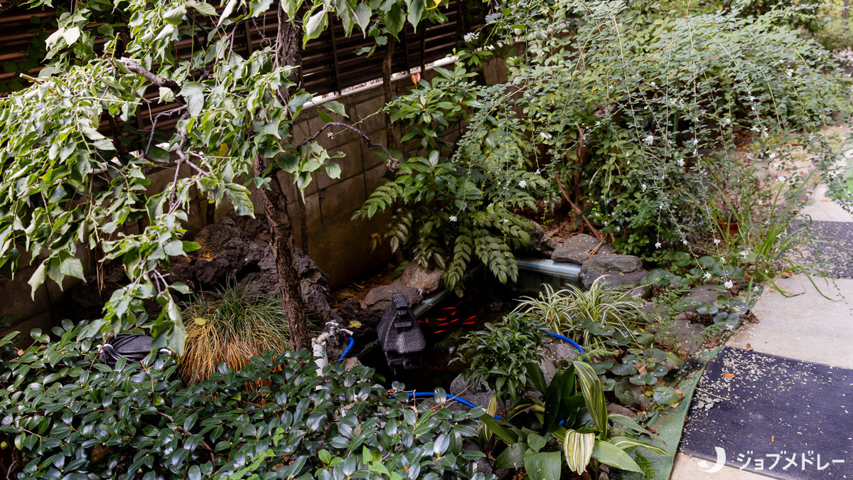 株式会社畑中ケアサービスの写真5枚目:都心にあってもほっと一息つけるお庭があります。