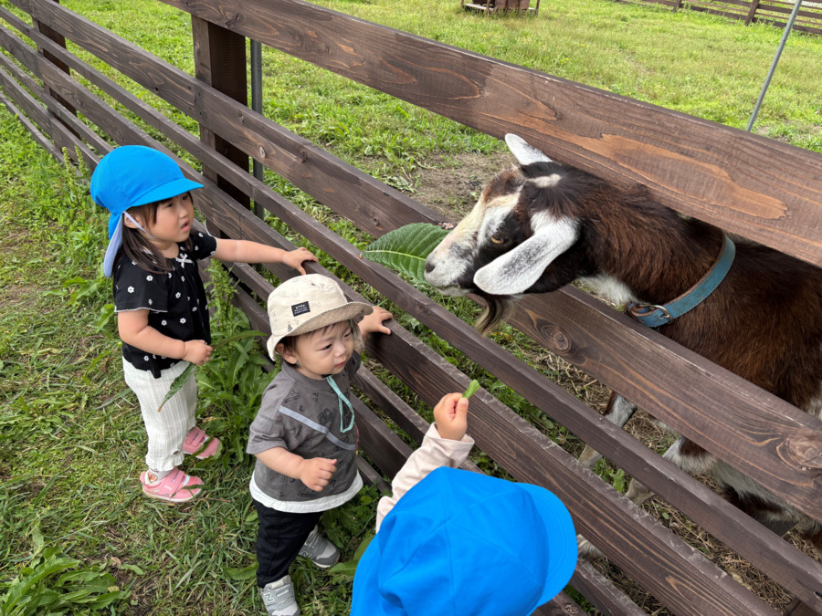 キッズホームてんとうむしの画像