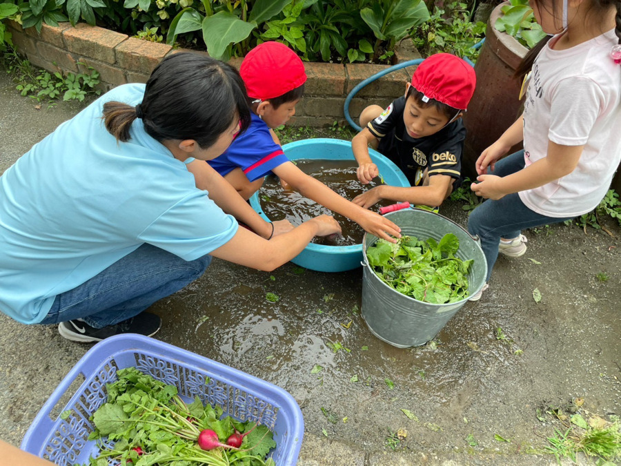 宝陽幼稚園の写真7枚目：