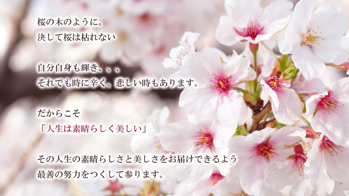 医療法人社団桜　本部の写真