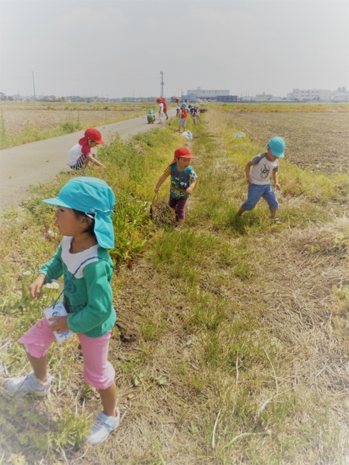 風の子第二保育園の写真3枚目：