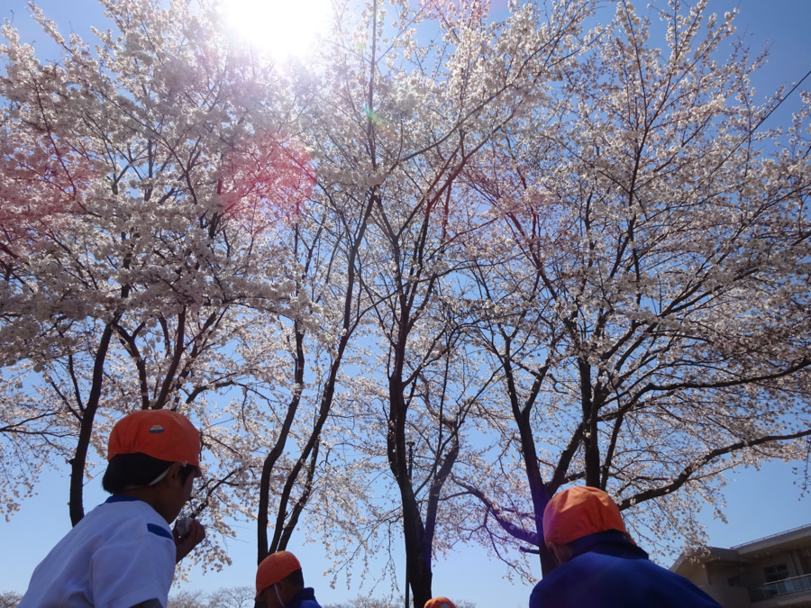 からまつ保育園の写真3枚目：
