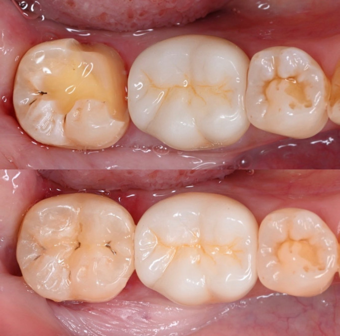株式会社Lea ceramic worksの写真4枚目：