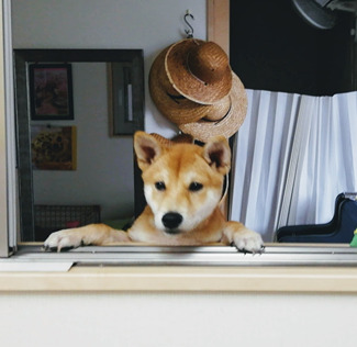 ワンセルフ メヴィの写真