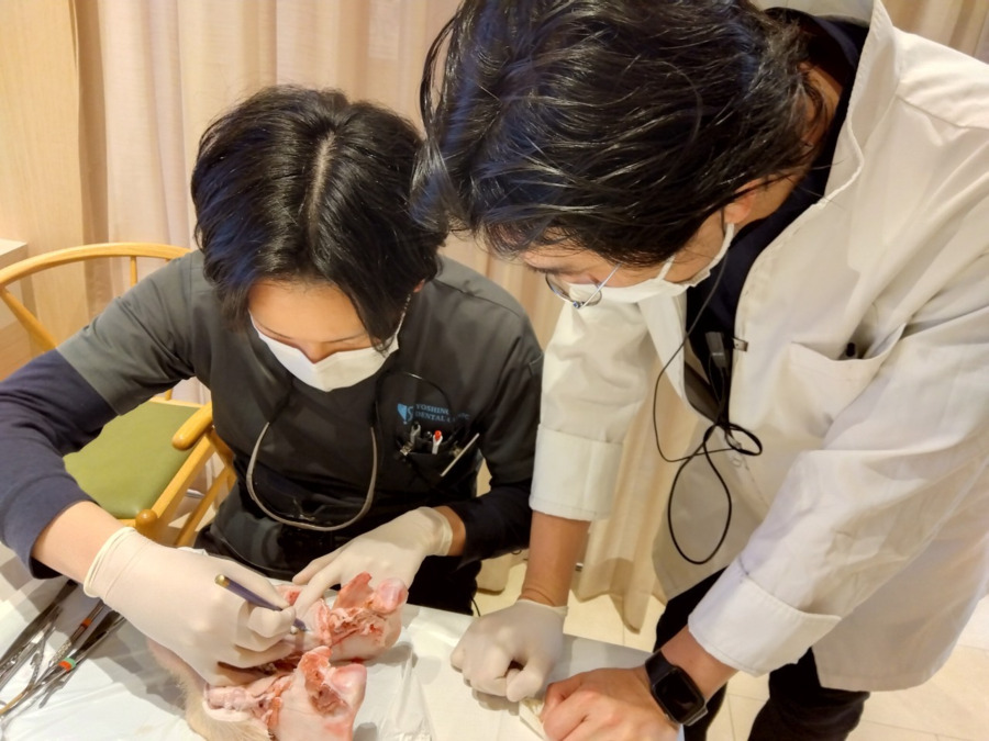 医療法人社団よしの歯科クリニック（歯科医師の求人）の写真14枚目：定期的に院内勉強会を行っています。みんなで学び成長できる環境が整っています。