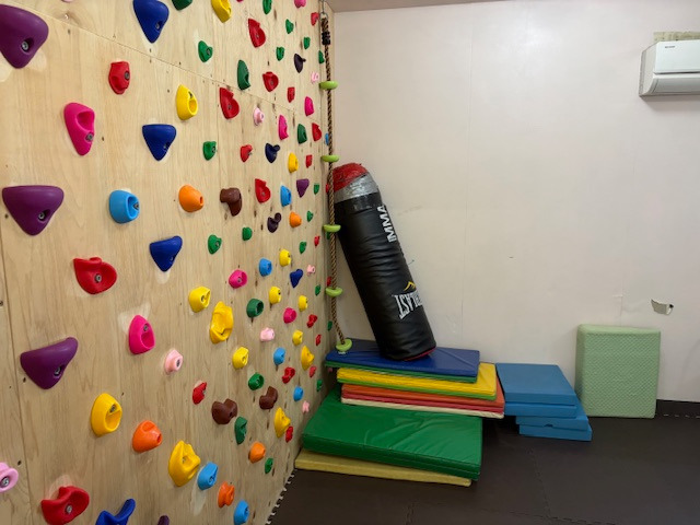 児童デイサービスわくわく（児童指導員/指導員の求人）の写真8枚目：運動室（ボルダリング）