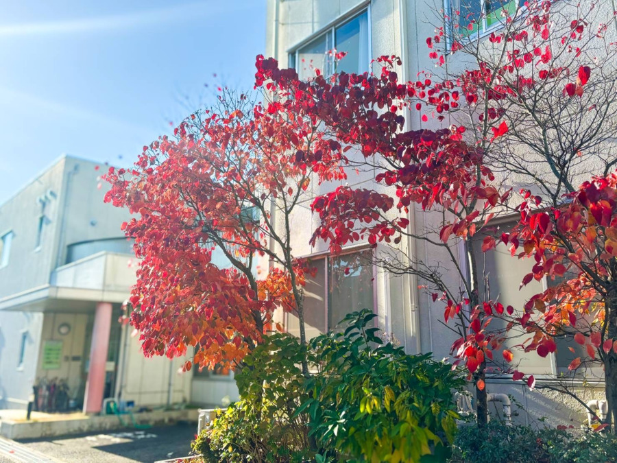 重症心身障がい児デイサービスPONOの写真