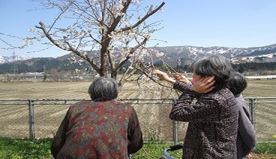 ショートステイ百花園（介護職/ヘルパーの求人）の写真3枚目：