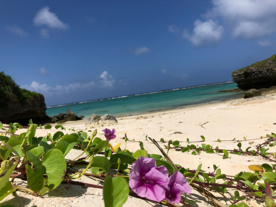 ユースタイルケア大泉学園【2025年11月オープン】の写真5枚目:この青い空と澄んだ海のような、快適な暮らしの支えに!