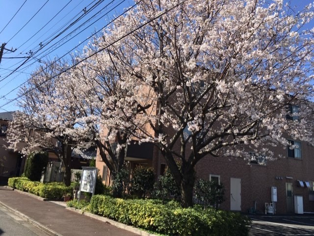 グループホームもえぎ中野白鷺の写真9枚目：