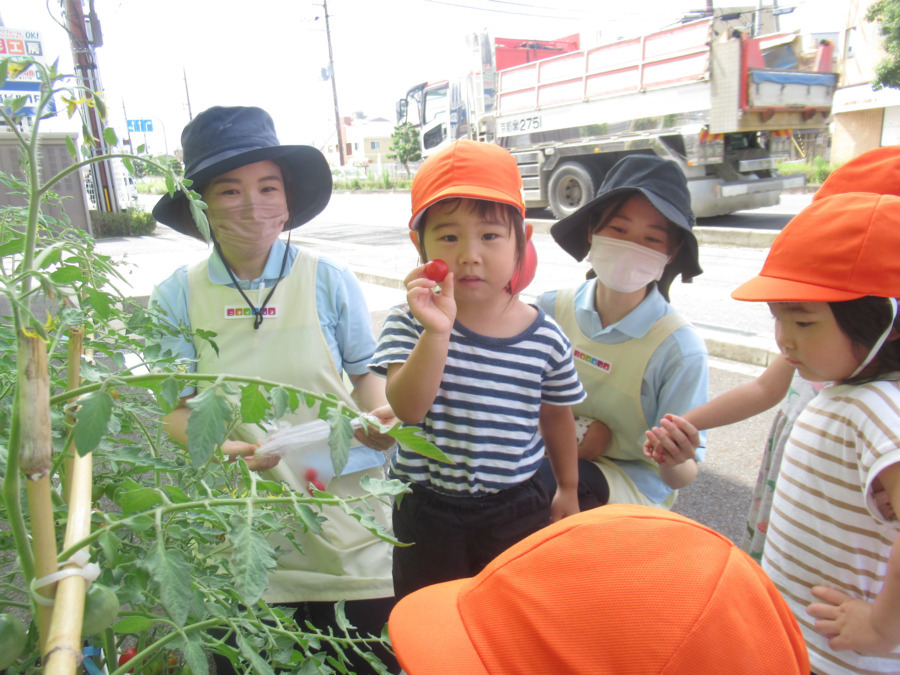 ニチイキッズ栗東中沢保育園の写真: