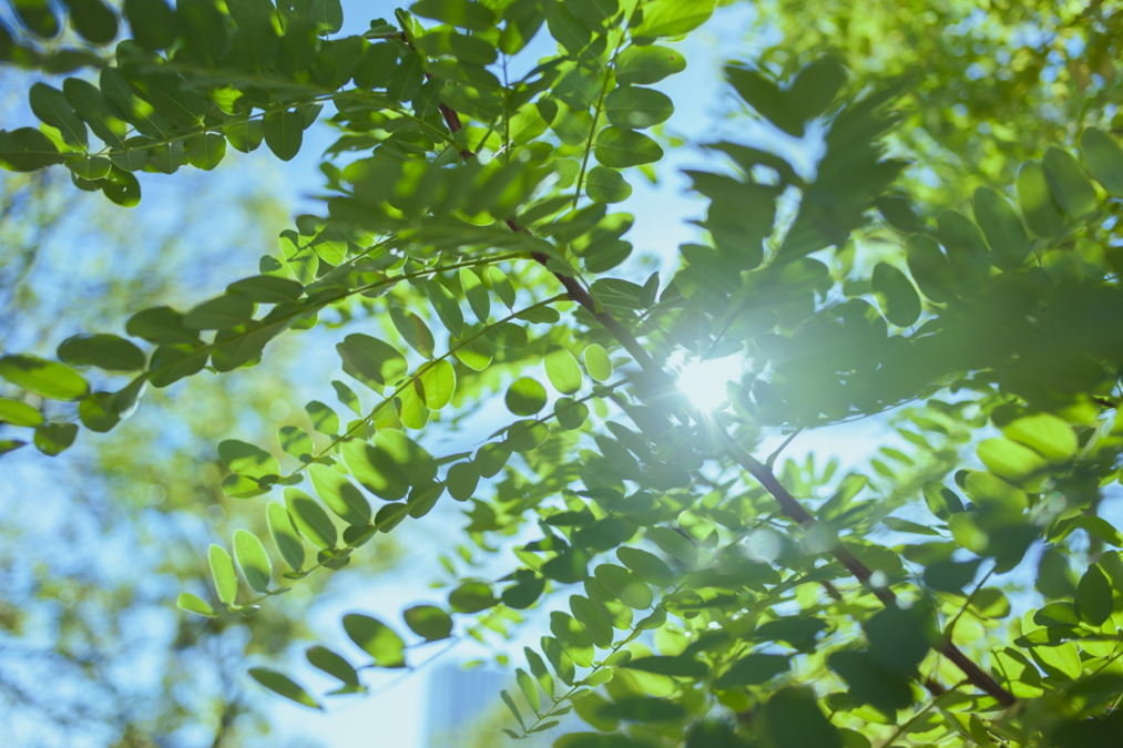 阪神西宮うめはなこころのクリニックの写真2枚目：