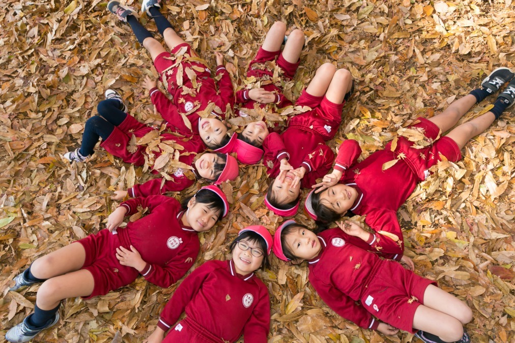 のだ山幼稚園（パート）の写真4枚目：敷地内のわくわくの森では、秋になるとたっぷりの落ち葉の中で遊びます。