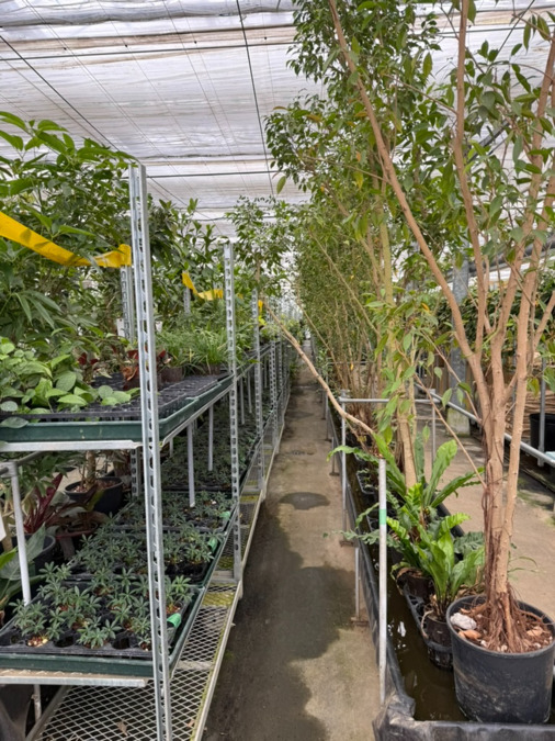 就労継続支援B型事業所アルコ【2026年03月オープン予定】（サービス管理責任者の求人）の写真4枚目：