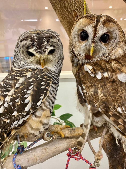 想いのまま（サービス管理責任者の求人）の写真3枚目：