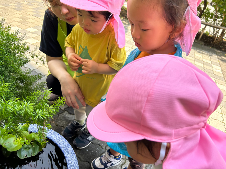 やまのみ池袋保育園(保育士の求人)の写真3枚目: