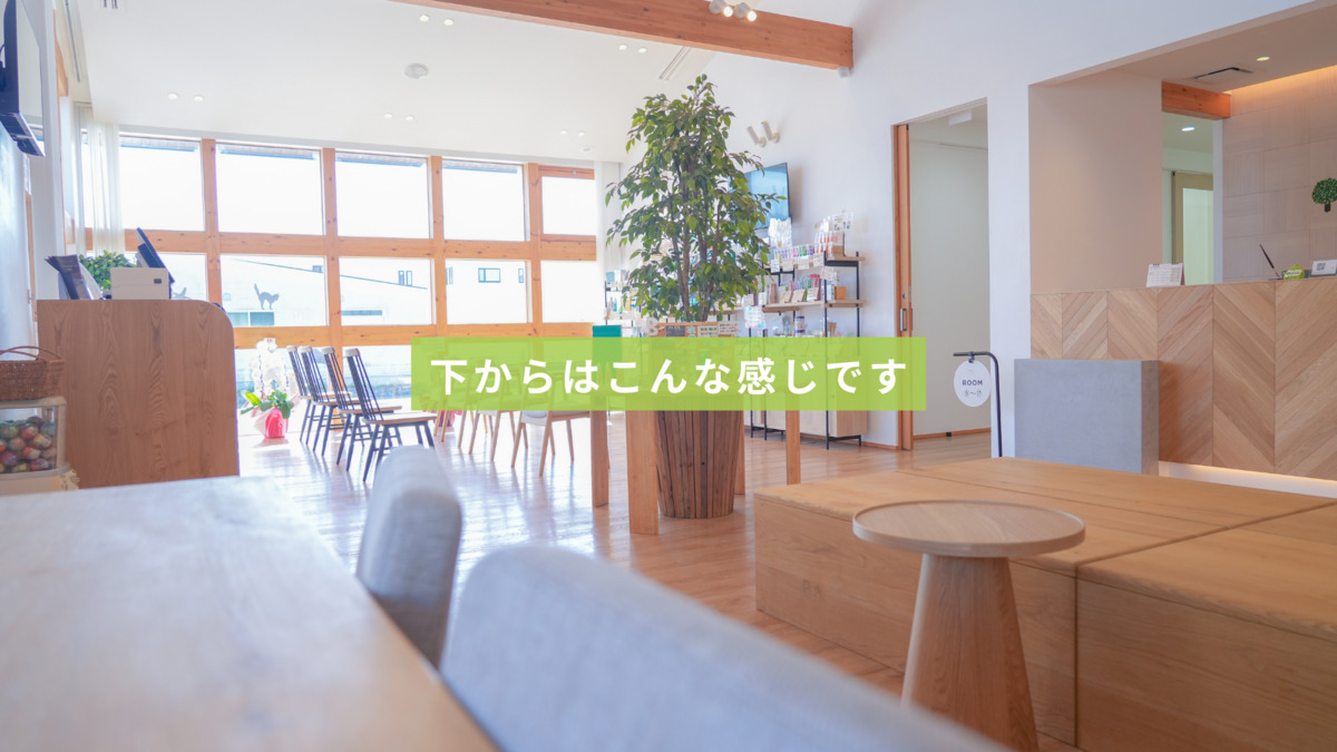 医療法人社団笑空会　はぐみの杜デンタルクリニック（歯科医師の求人）の写真27枚目：