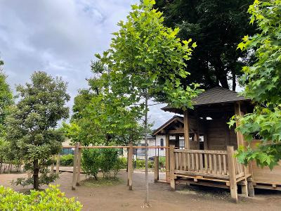 日吉夢保育園の写真5枚目：